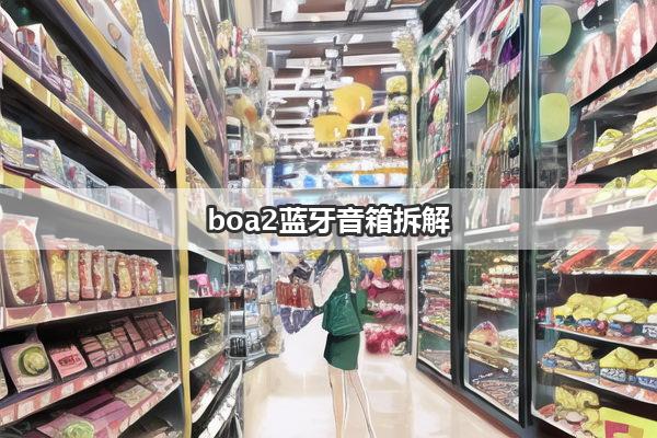 boa2蓝牙音箱拆解