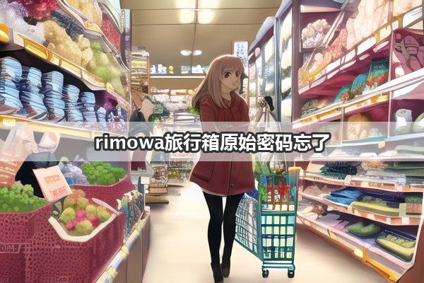 rimowa旅行箱原始密码忘了