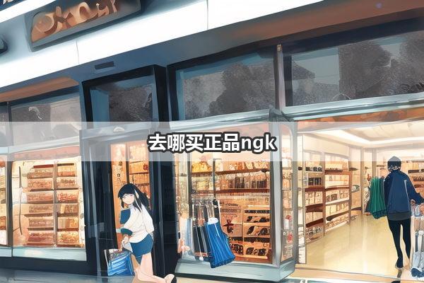 去哪买正品ngk