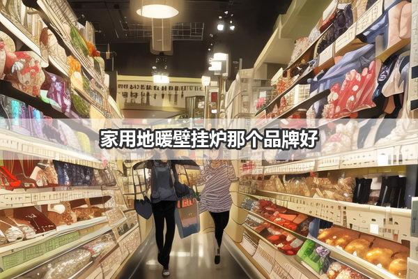 家用地暖壁挂炉那个品牌好