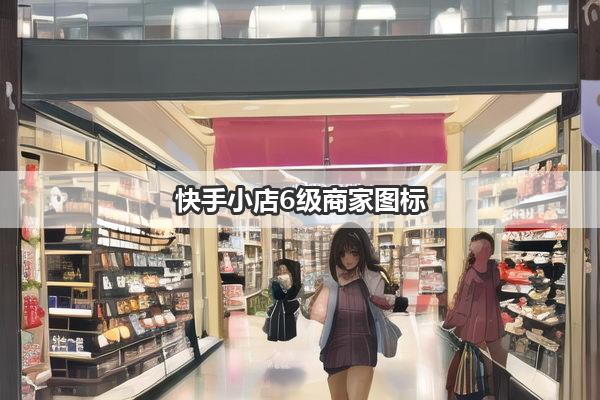 快手小店6级商家图标