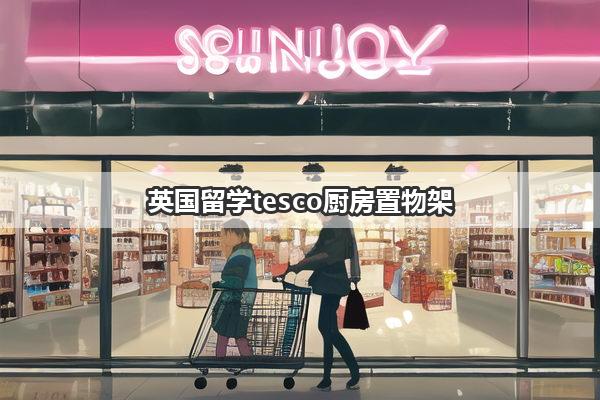 英国留学tesco厨房置物架